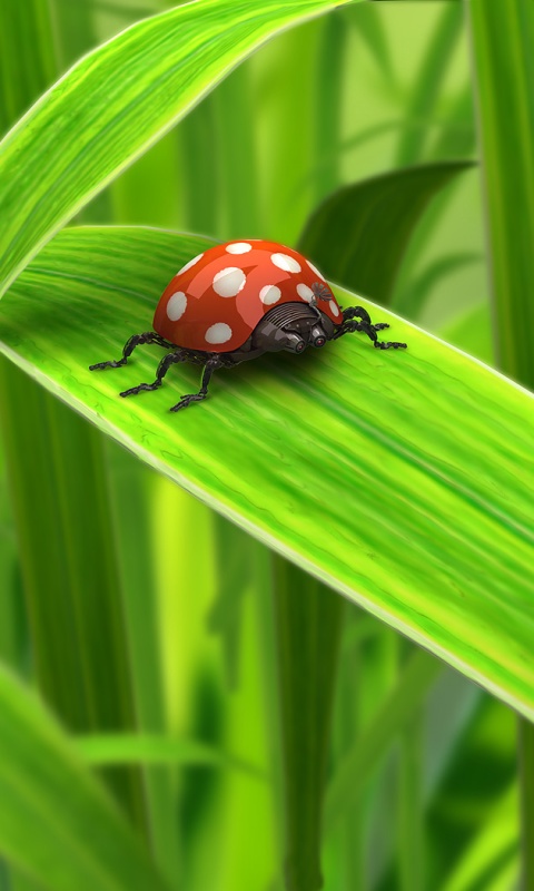 Милая божья коровка робот обои