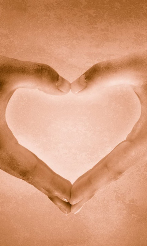Сердце из сложенных рук обои