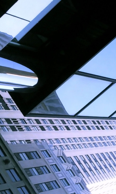 Взгляд вверх обои