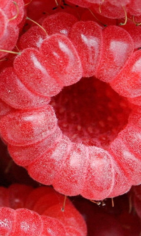 Малина обои