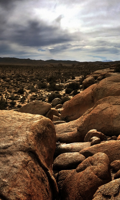 Пустыня Мохаве обои