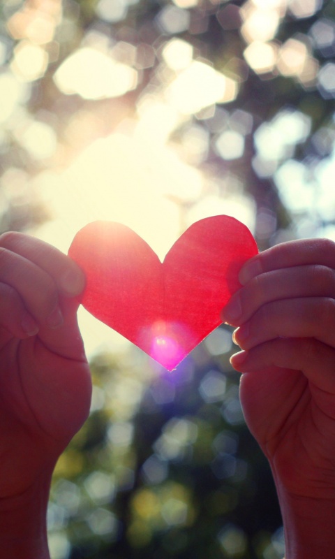 Бумажное красное сердце обои