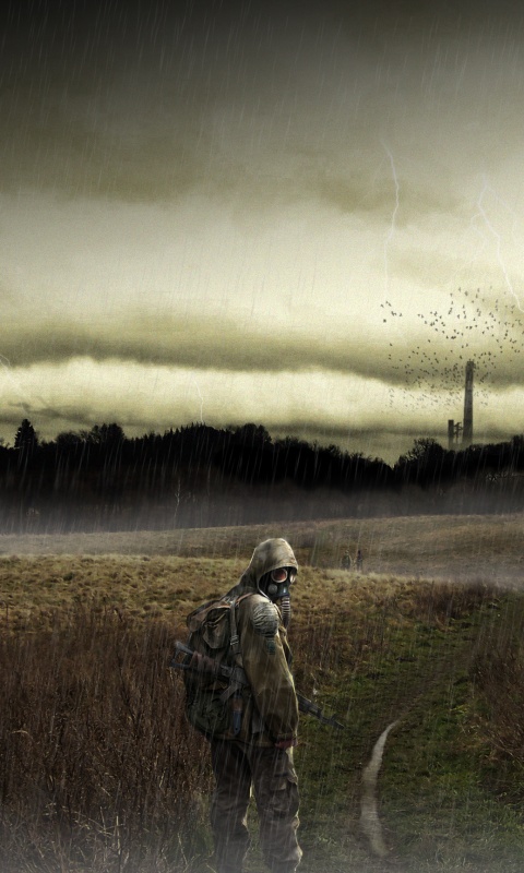 Сталкер под дождем обои