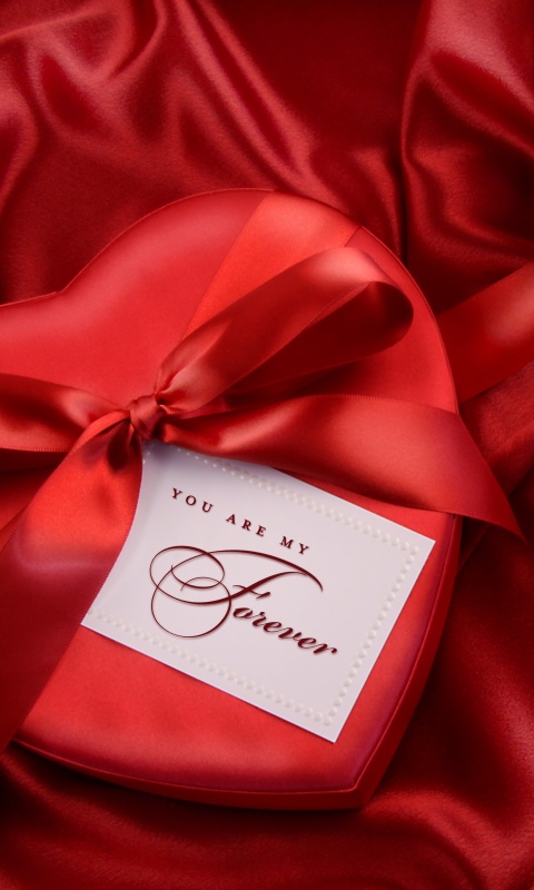 Ты — моя на вечно обои