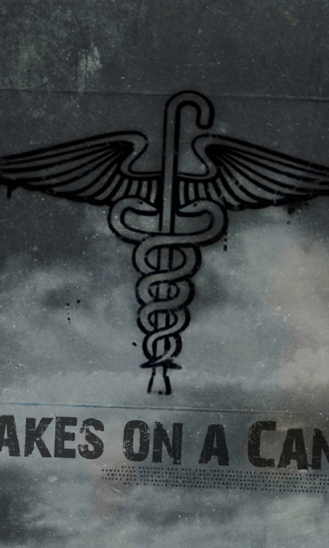 Змеи на трости обои