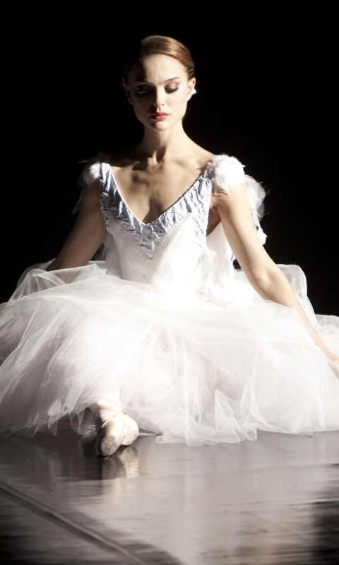 Черный лебедь обои