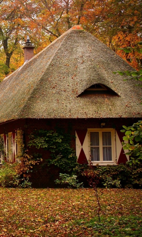 Домик в осеннем лесу обои