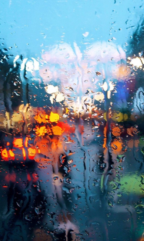 После дождя обои