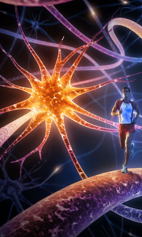 Бег мыслей обои