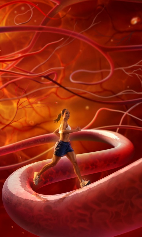 Бег крови обои