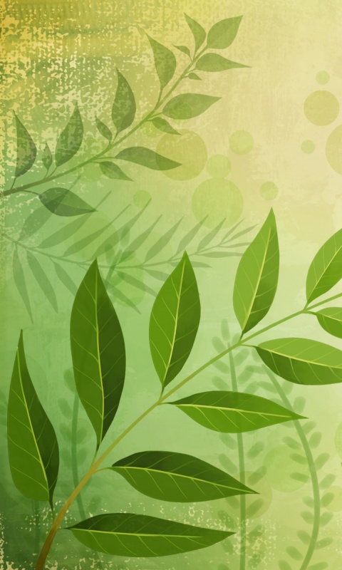 Веточка молодых листьев обои