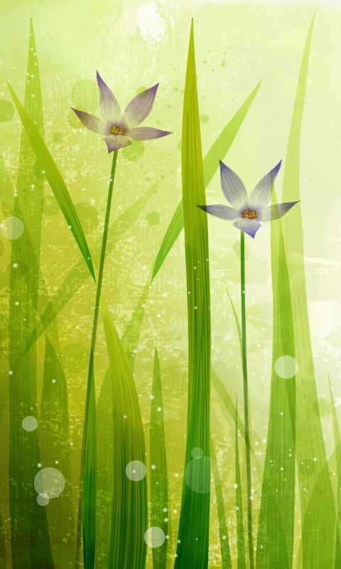 Векторные цветы обои