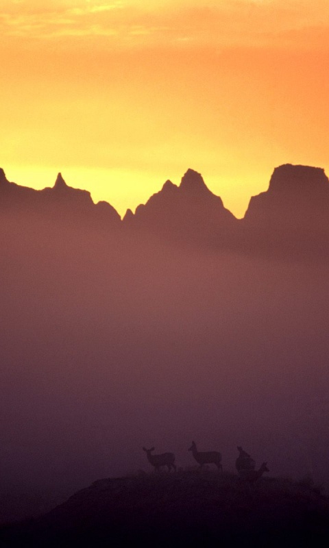 Вечер в национальном парке обои