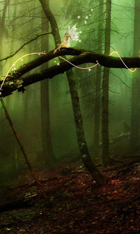 Лесные феи обои