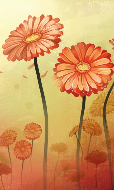 Векторные ромашки обои