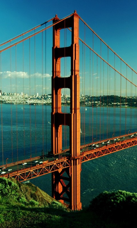 Мост Золотые Ворота обои