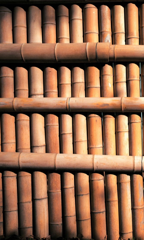 Бамбук обои