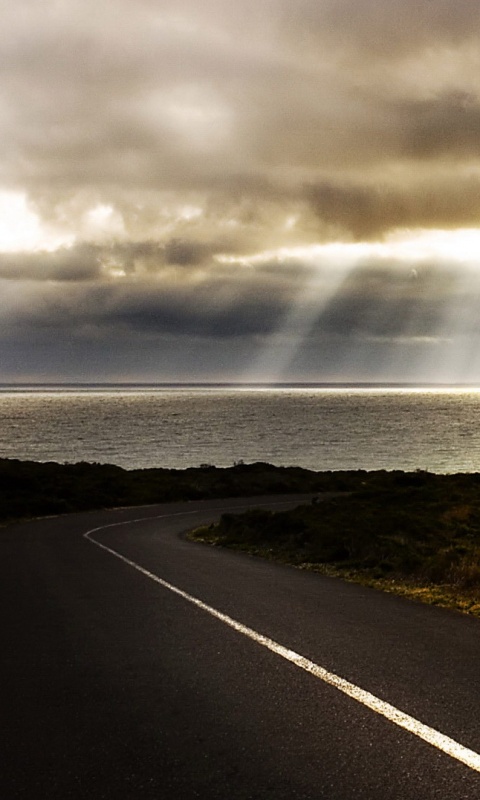 Дорога обои