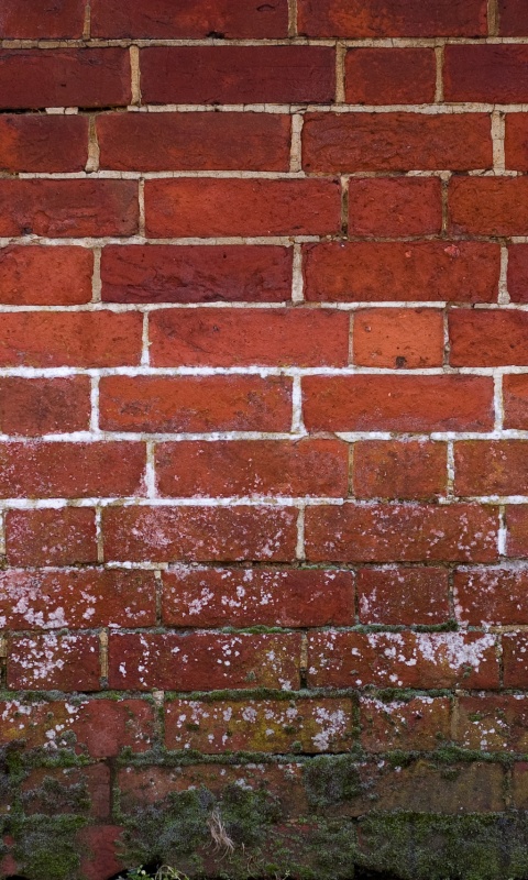 Старая кирпичная стена обои