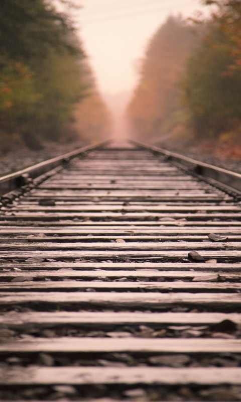 Железная дорога после дождя обои