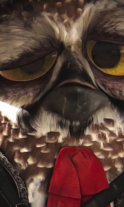 Совы-мариачи из Ранго обои