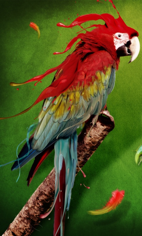 Попугай на ветке обои