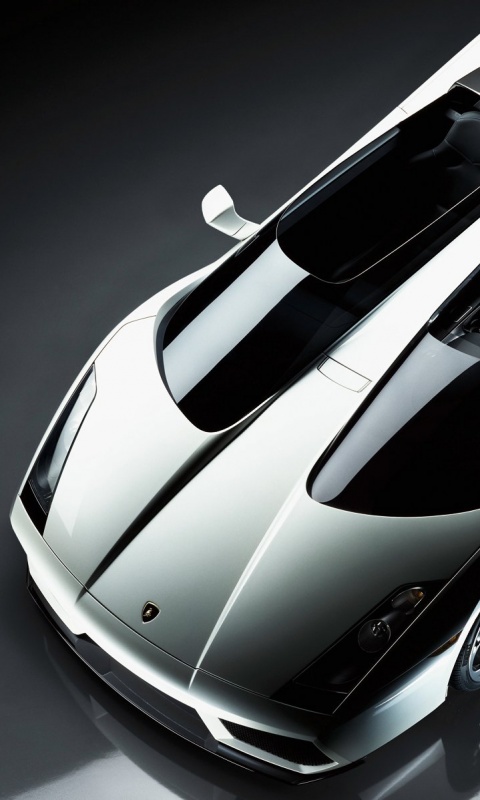 Светло-серый Lamborghini обои