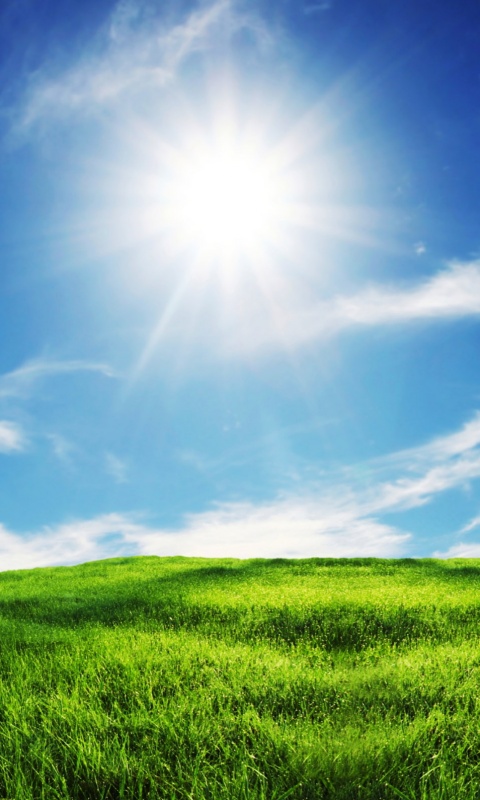 Солнце над холмом обои