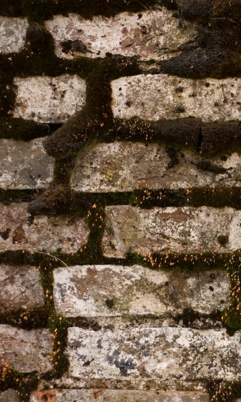 Кирпичная стена обои