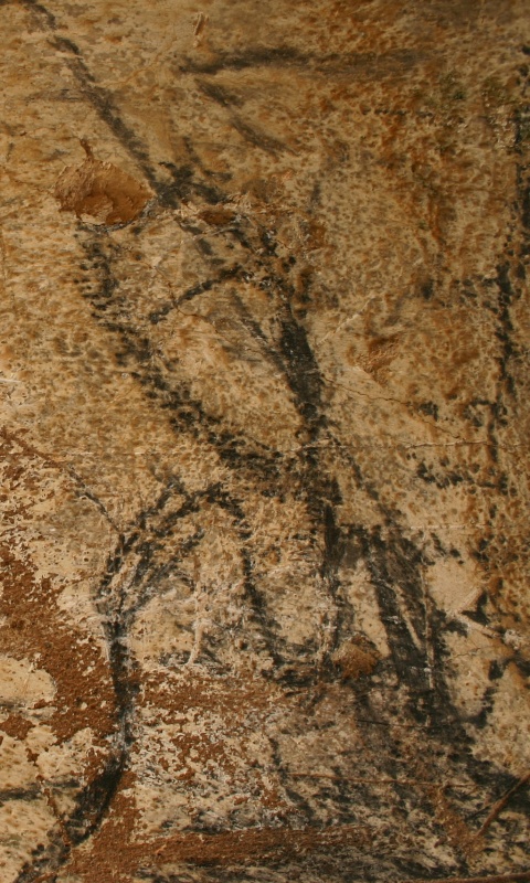 Наскальные рисунки обои