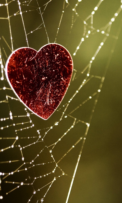 Запутавшаяся любовь.. обои