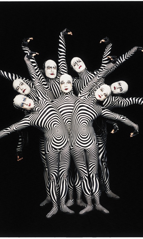 Зеброиды (актеры цирка дю солей) обои