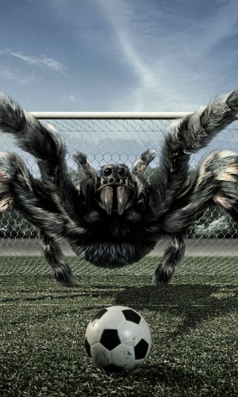 Вратарь обои