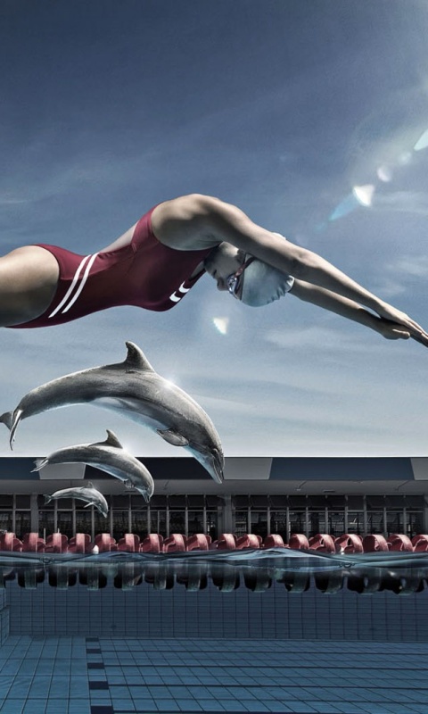 Соревнование обои