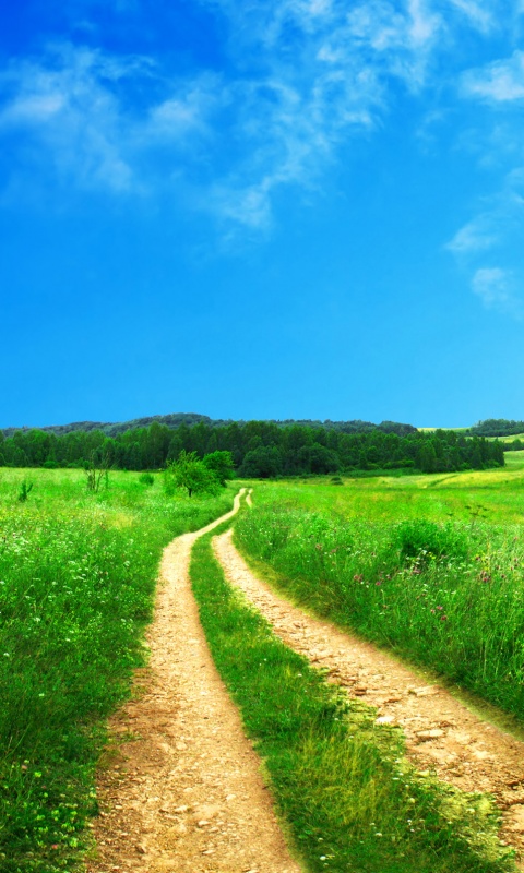 Дорога через луг обои