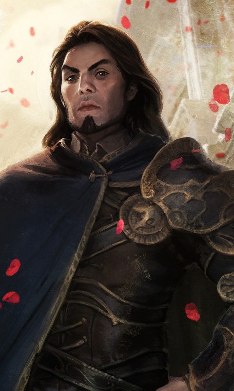 Рыцарь обои