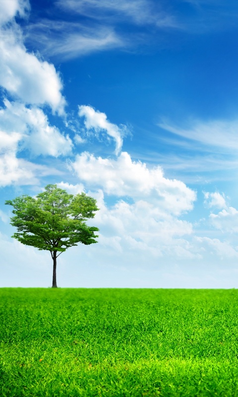 Один в целом мире обои