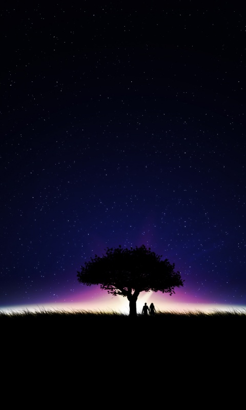 Звёздная ночь обои