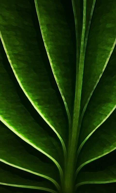 Неоновый лист обои