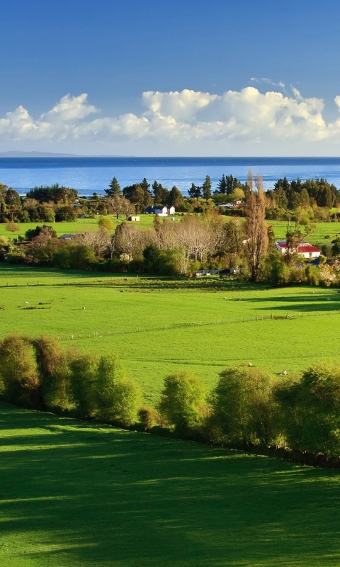 Сельская природа обои