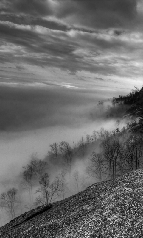 Туманные горы обои