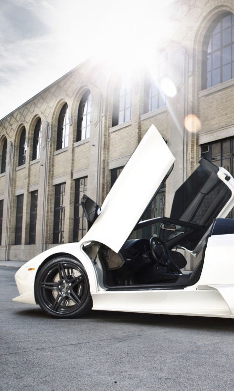 Белая Ламборгини Мурсьелаго обои