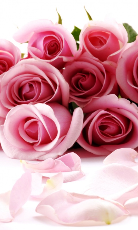 Букет роз обои