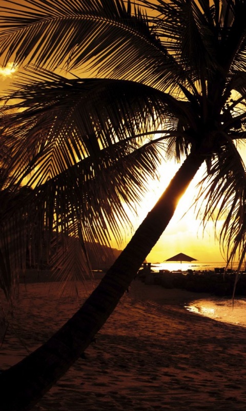 Пляж на закате обои