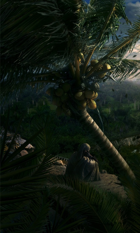 Вид на джунгли обои