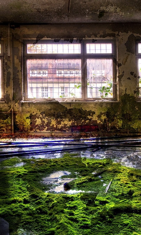 Запустение обои