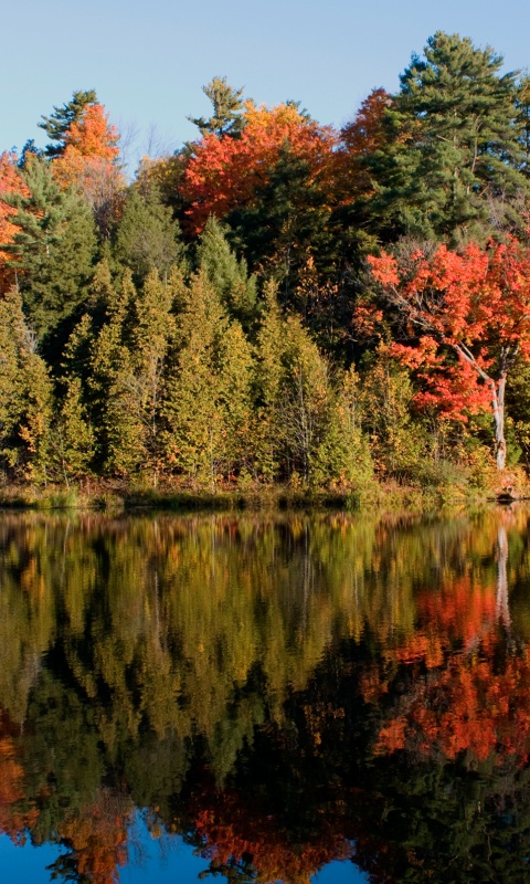 Осенний пейзаж обои