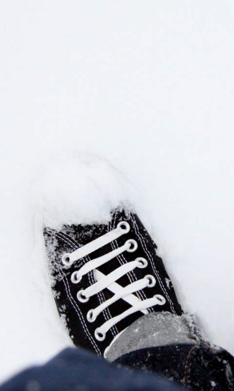 Дурак зимой в кедах обои