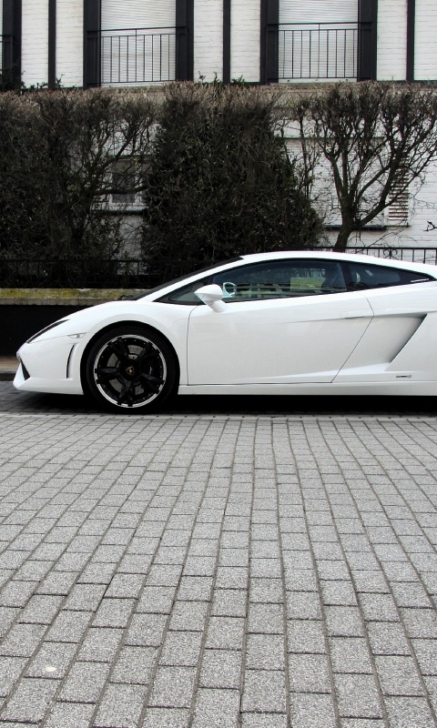 Белый Lamborghini обои