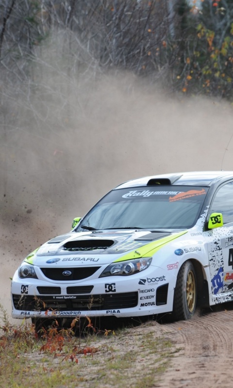 Раллийная гонка обои